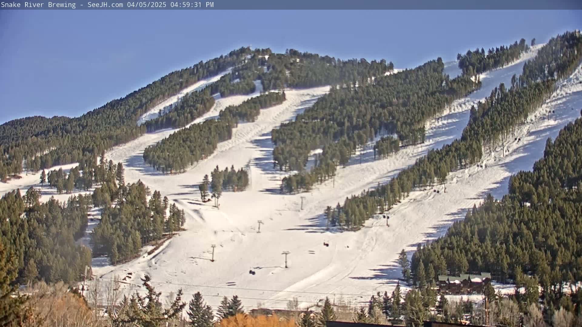 A snow-covered ski resort with several ski runs winding through a pine forest under a clear blue sky.