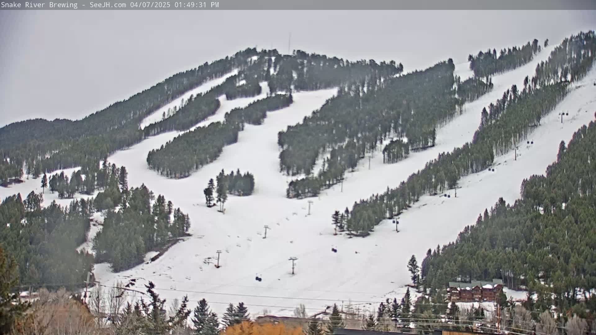 A snow-covered ski slope with several chairlifts is surrounded by evergreen trees under an overcast sky.