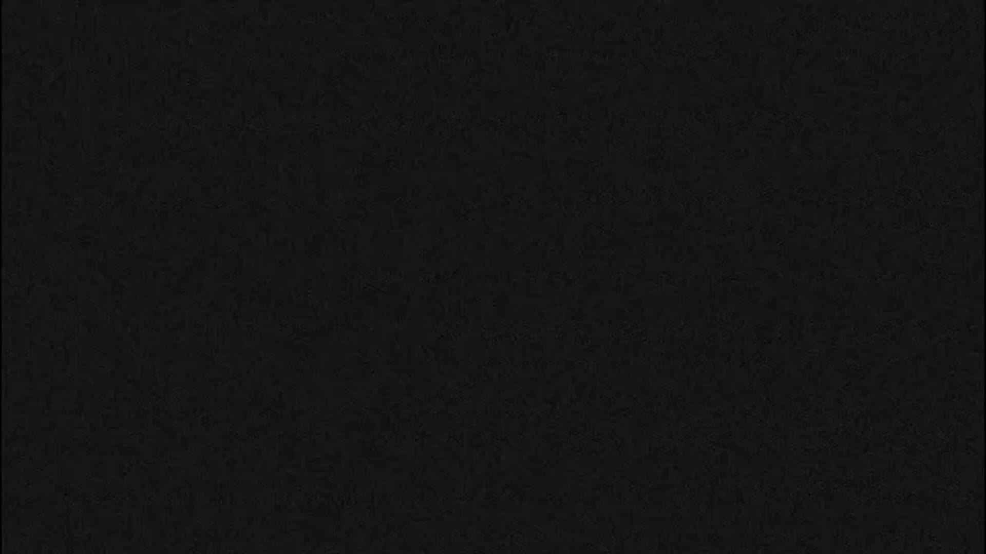 The image shows a dark, uniformly textured surface.