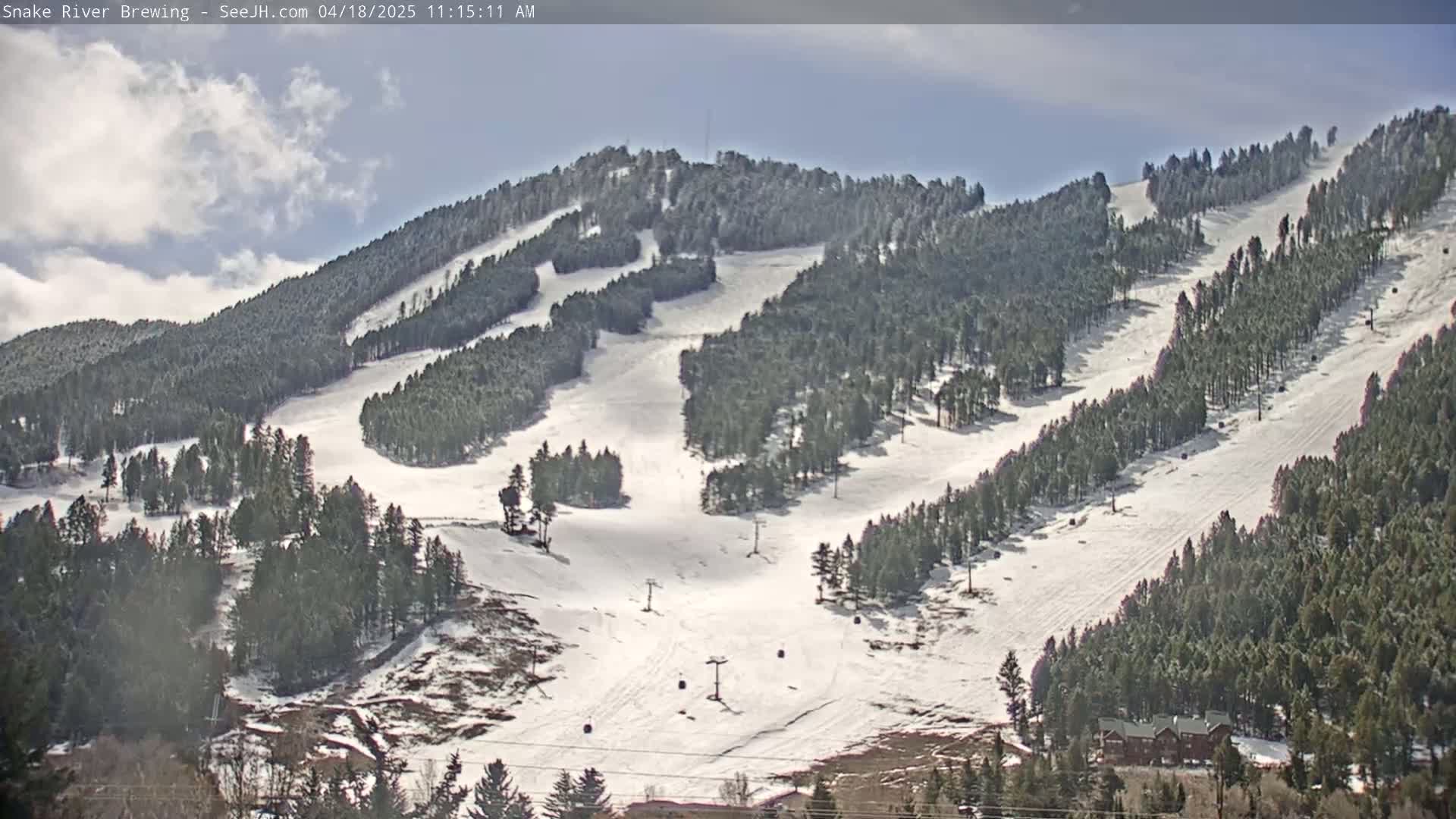 A snow-covered ski slope winds through a pine forest under a partly cloudy sky.