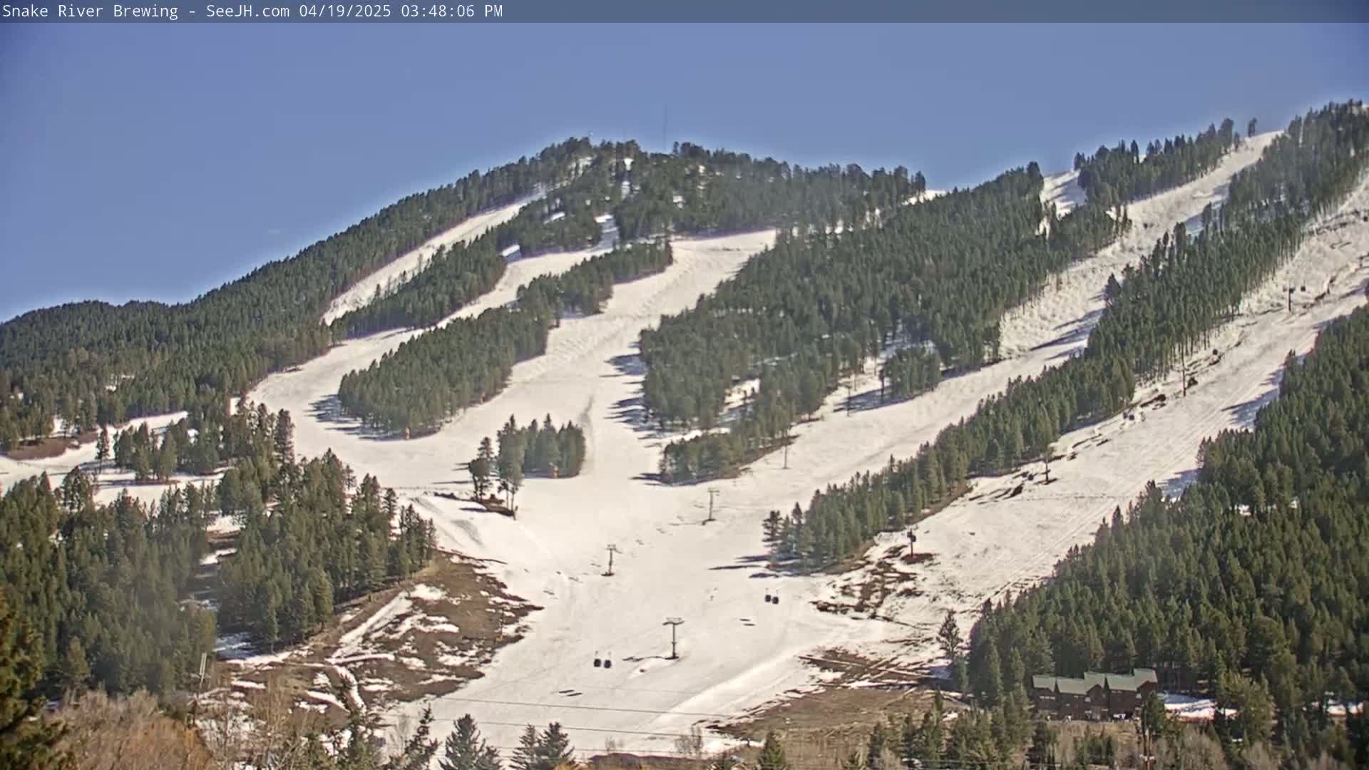 A snow-covered ski slope winds down a mountainside, surrounded by evergreen trees under a clear blue sky.