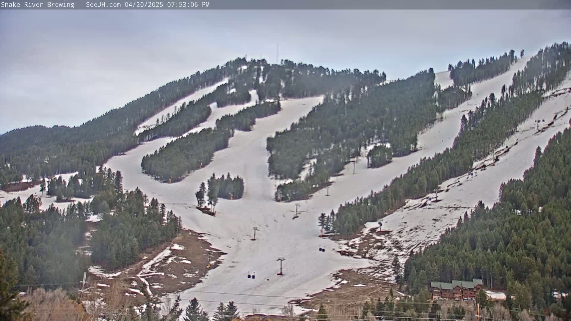 A snow-covered ski slope with several ski lifts is nestled among evergreen trees under an overcast sky.