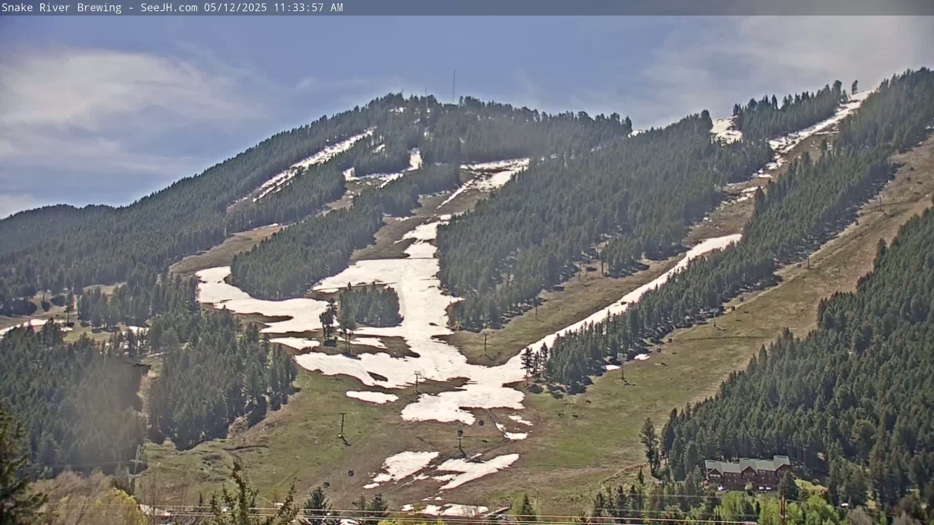 A mostly sunny view of a mountainside with patches of melting snow, green grass, and evergreen trees.