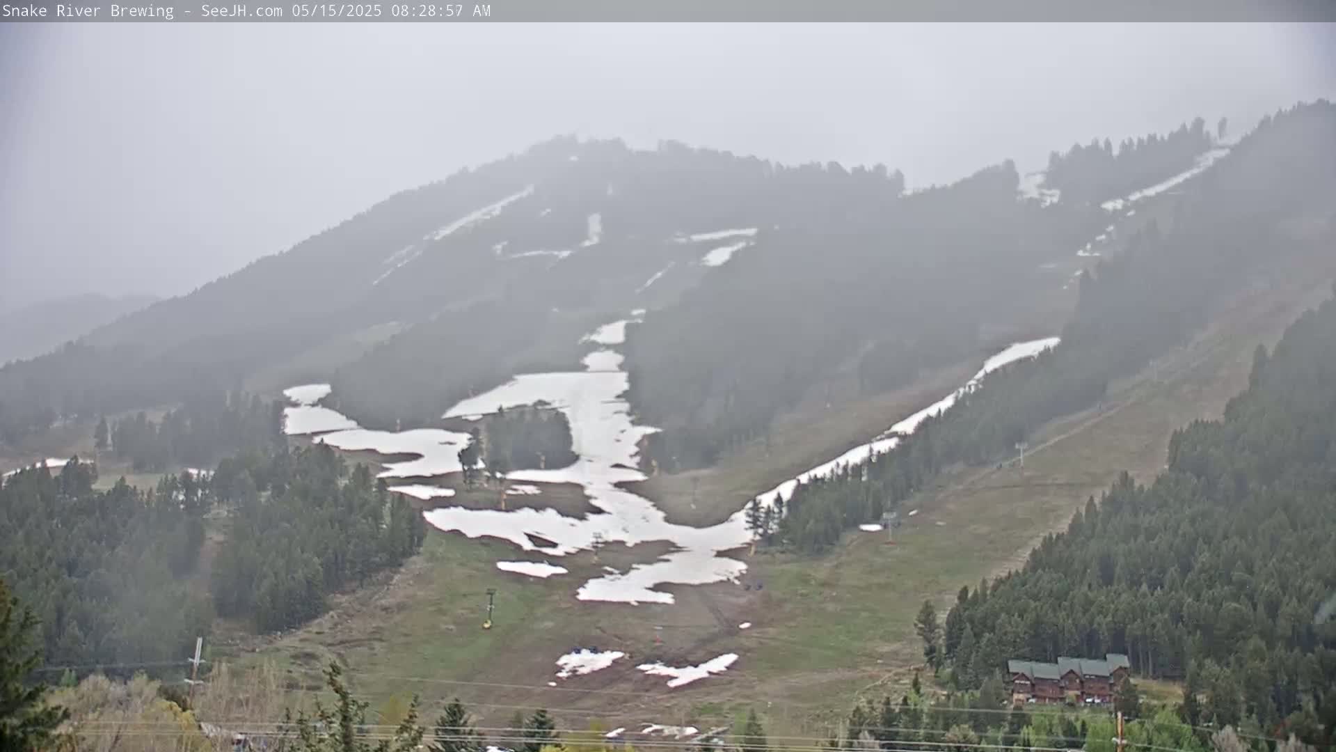 A hazy, overcast view shows a mountainside with patches of melting snow, interspersed with green grass and dark evergreen trees, and a few buildings at the base.
