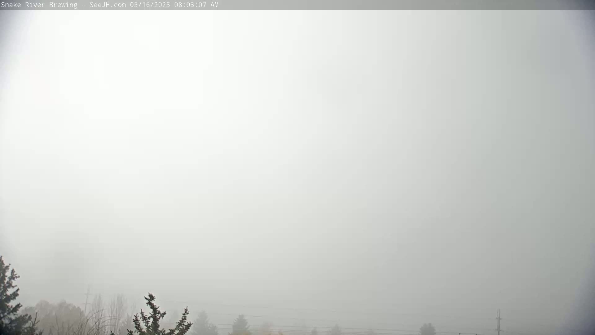 A thick fog obscures the view of a mostly barren landscape with a few dark trees visible at the bottom.
