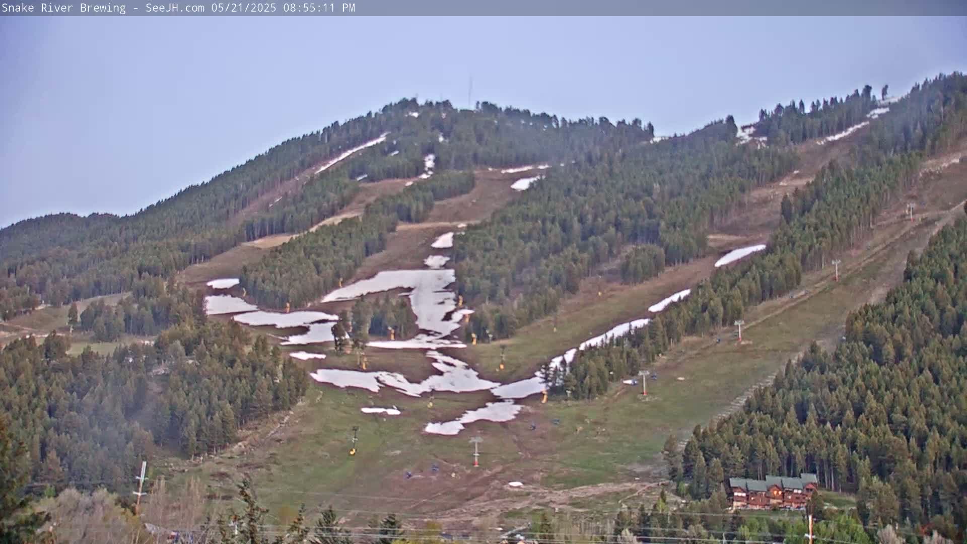 A mostly clear, late afternoon view of a ski resort mountainside showing patches of snow melting amidst brown and green grass and trees.