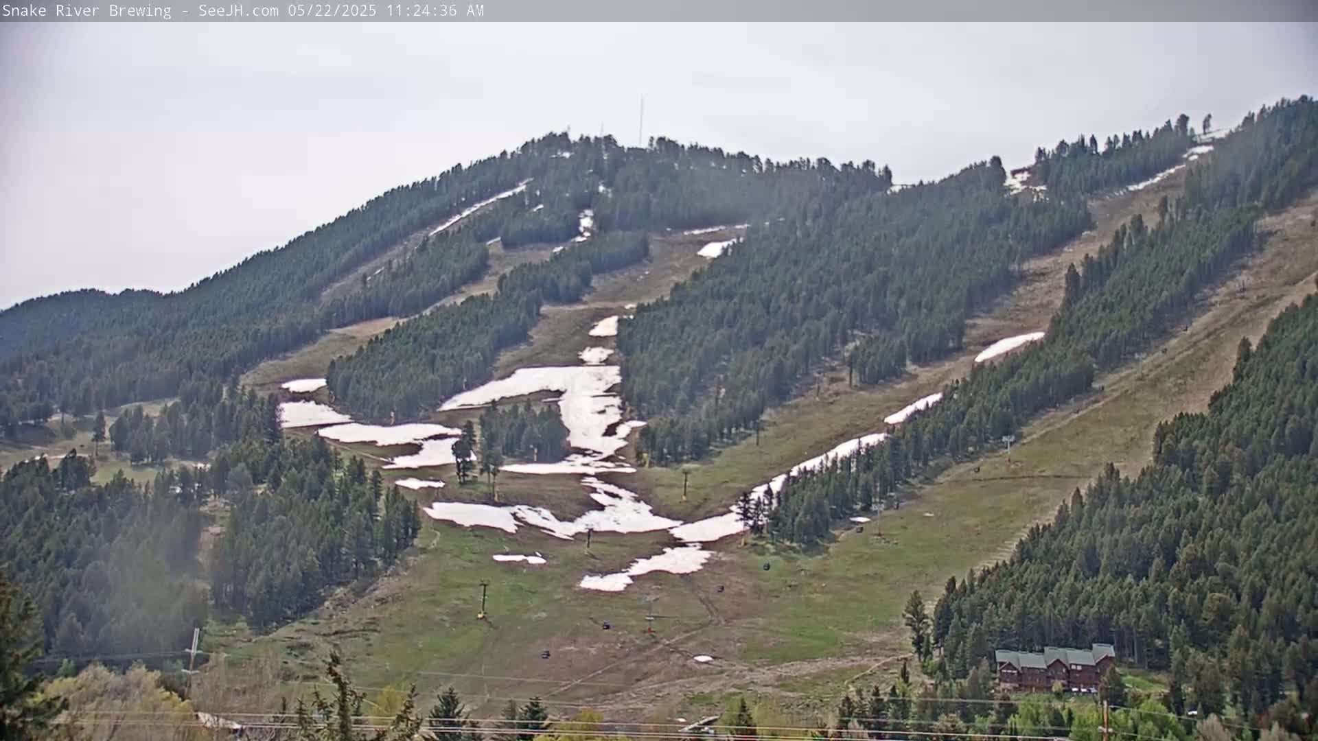 A mostly clear day reveals a grassy hillside dotted with patches of snow, interspersed with evergreen trees and a few buildings in the lower right corner.