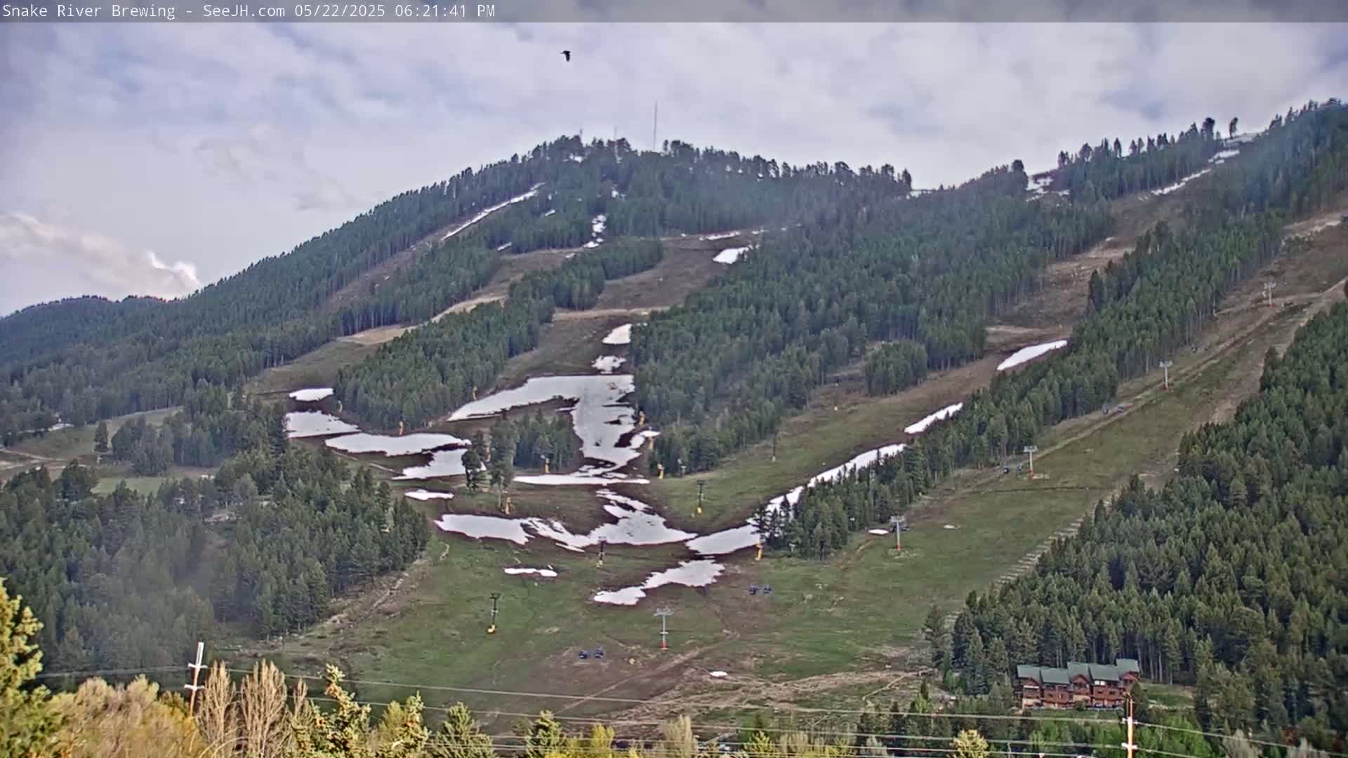 A mostly clear, overcast sky overlooks a mountainside covered in evergreen trees, patches of snow, and ski lift infrastructure.