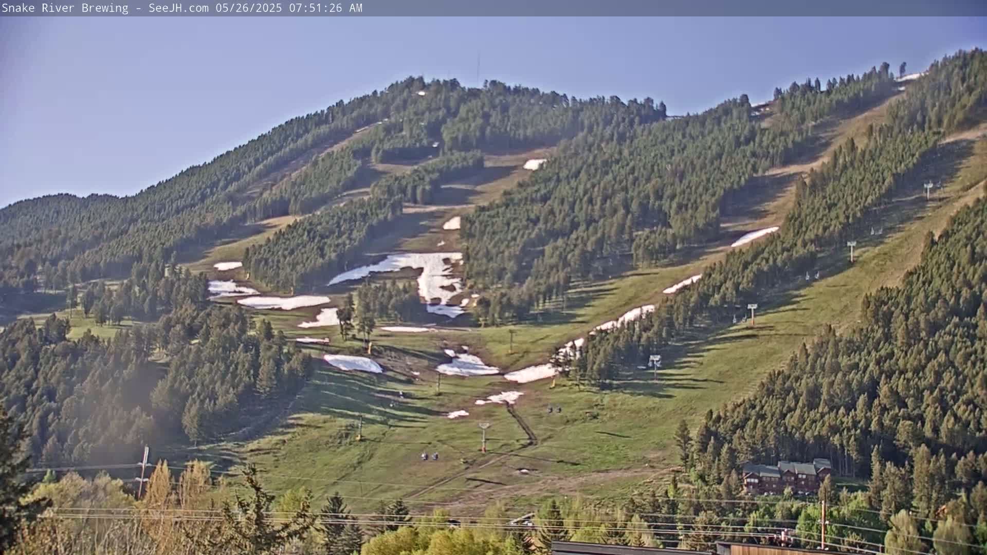 A grassy mountainside with patches of snow, sparse trees, and ski lifts under a clear sky.