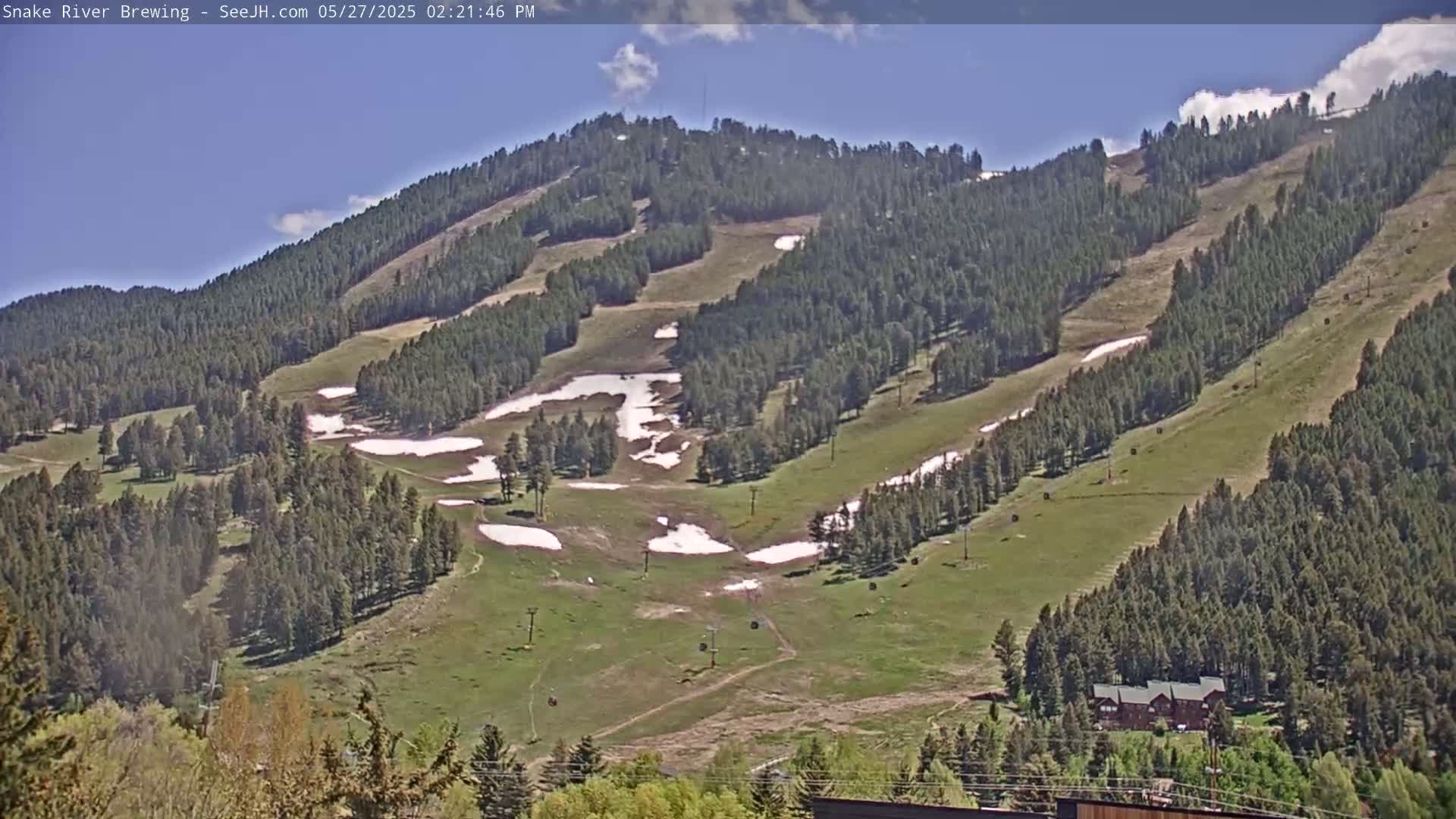 A mostly sunny day reveals a mountainside with green grass, evergreen trees, patches of melting snow, and ski lift infrastructure.