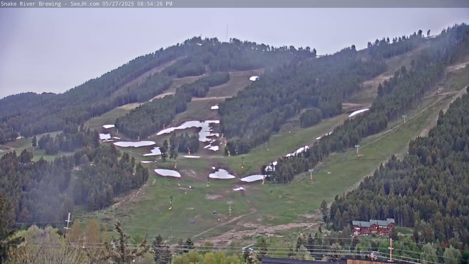 A mostly clear, overcast day shows a hillside with patches of melting snow on a grassy ski slope, surrounded by evergreen trees and a few buildings at the bottom.