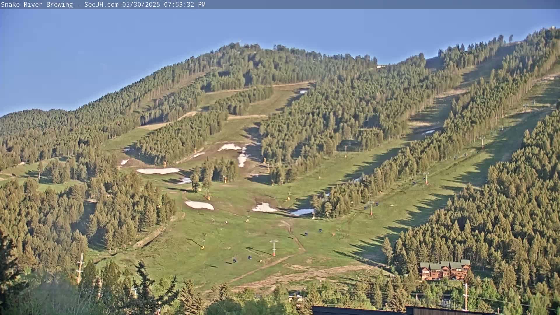 A mostly sunny view of a grassy mountainside with sparse trees and patches of snow, showing ski lift infrastructure.