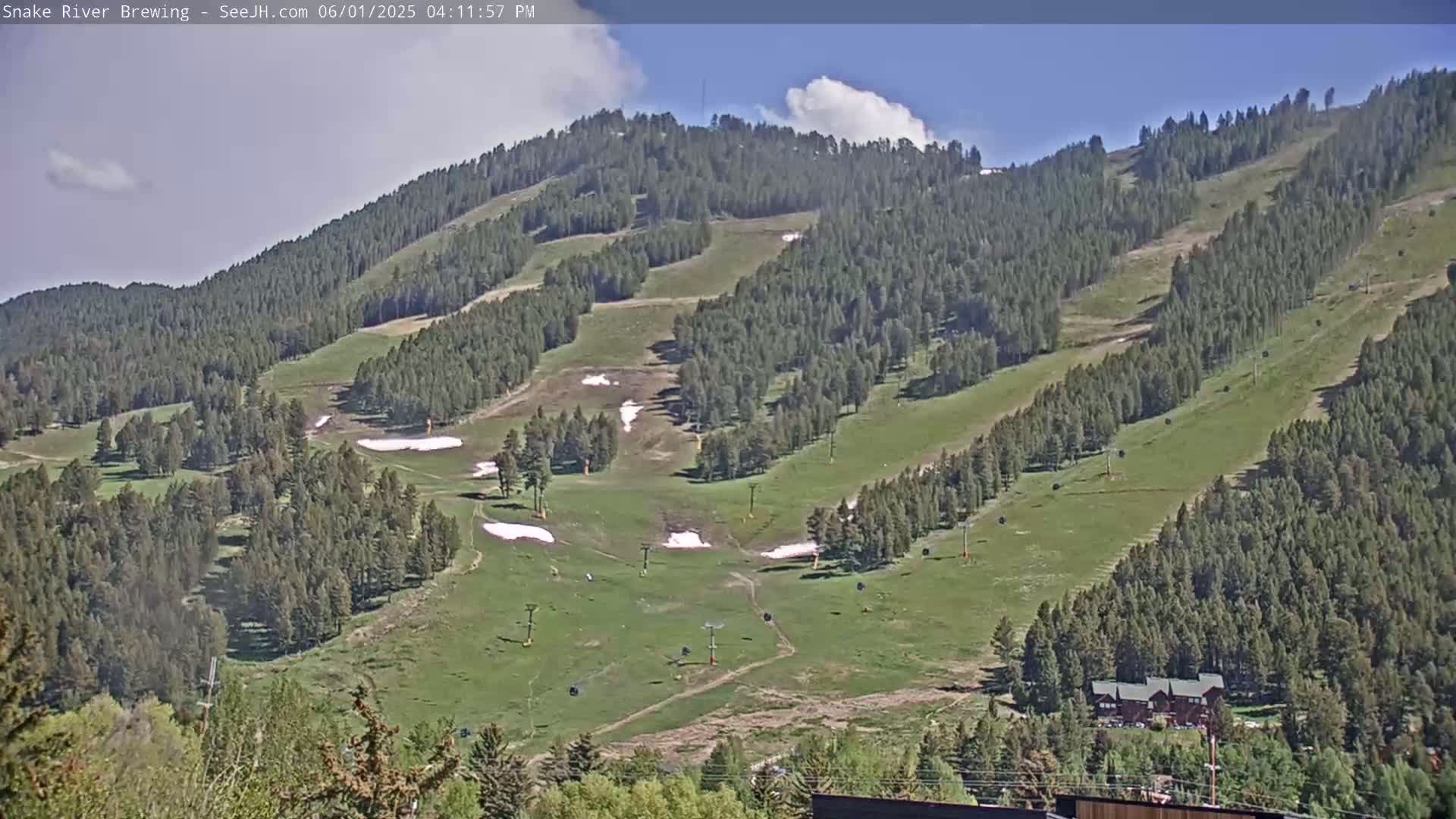 A mostly sunny day reveals a grassy mountainside dotted with evergreen trees, ski lifts, and small patches of remaining snow.