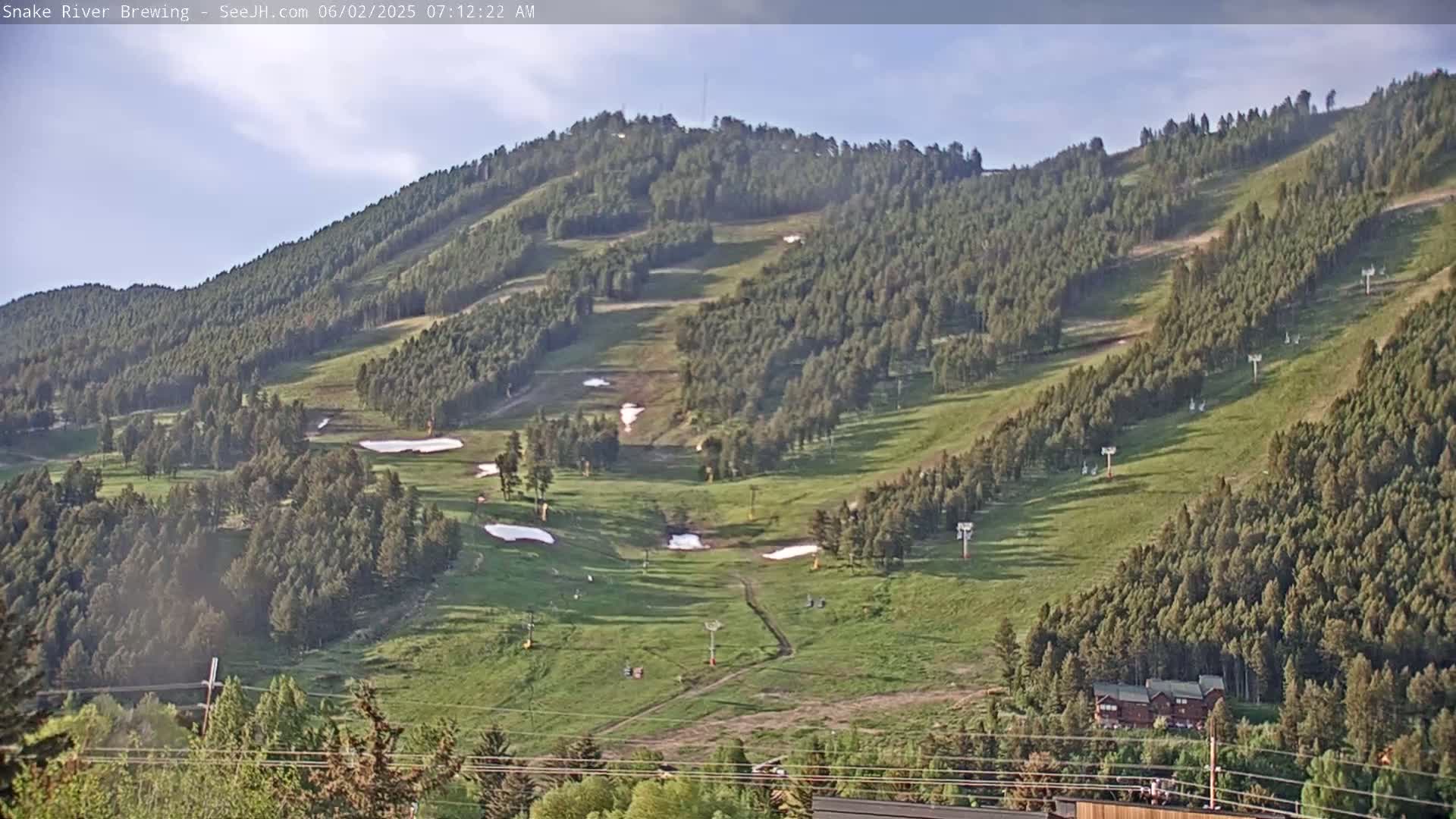 A mostly sunny view of a grassy hillside with some remaining patches of snow, dotted with trees and ski lift infrastructure.