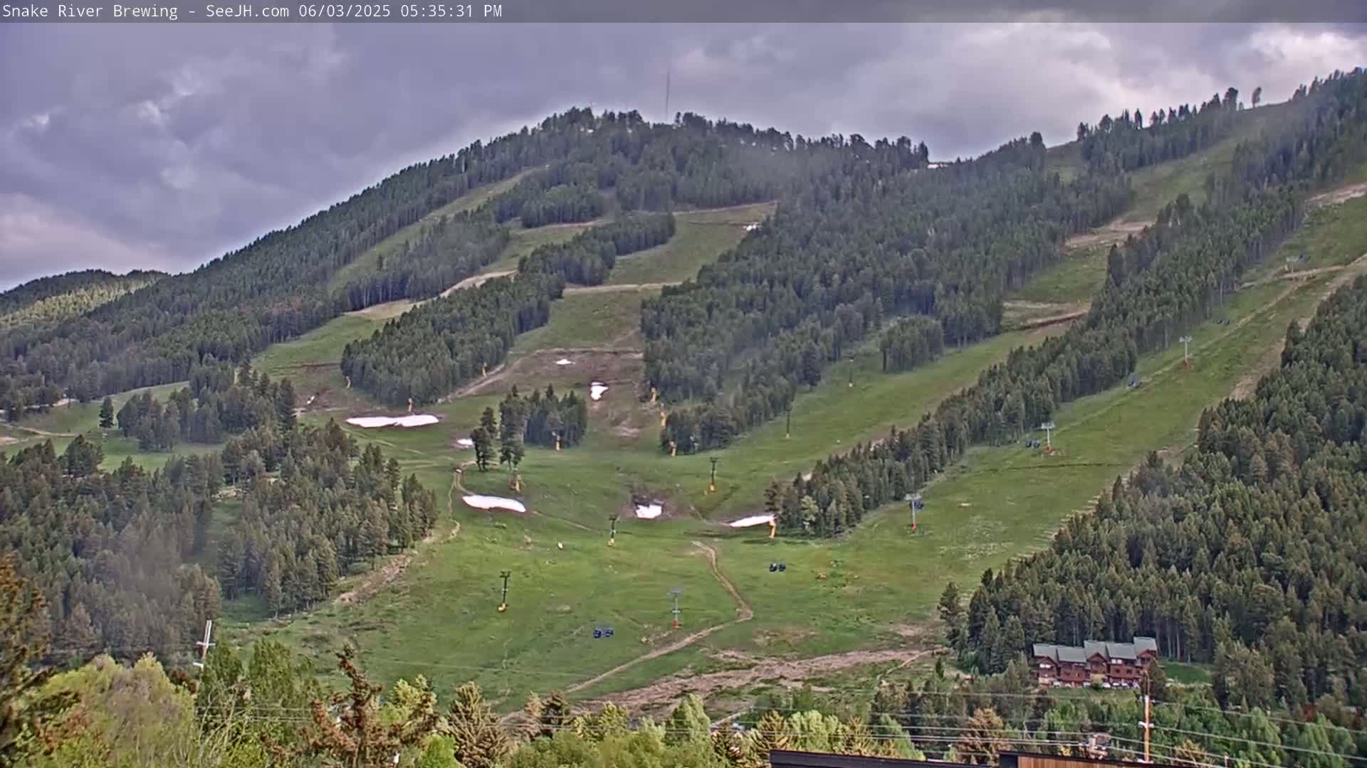 A mostly cloudy day reveals a grassy hillside dotted with evergreen trees, ski lifts, and small patches of snow.
