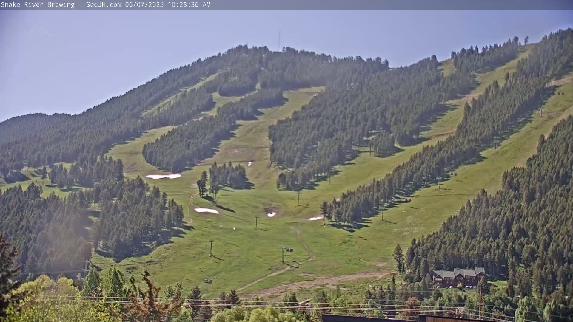 A long grassy hillside dotted with evergreen trees and a few patches of snow under a clear sky shows several ski runs and chairlifts.