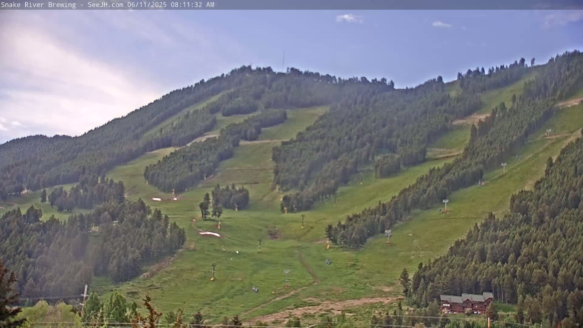 A partly cloudy sky overlooks a grassy hillside dotted with evergreen trees and ski lifts.