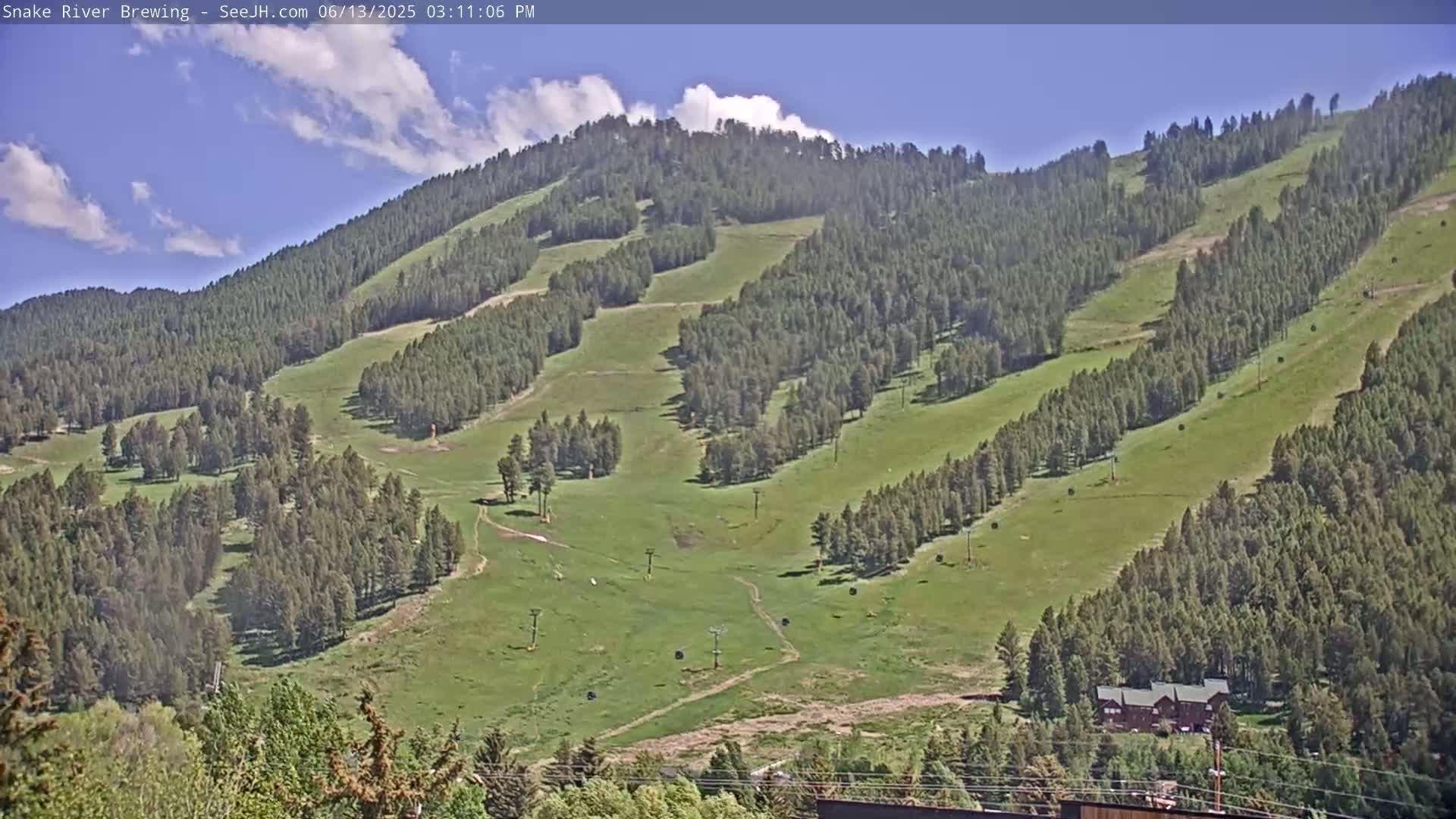 A mostly sunny day reveals a mountainside dotted with green meadows and evergreen trees, featuring several ski runs visible in the summer.