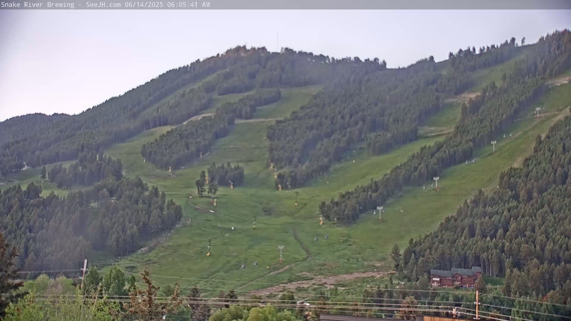 A grassy hillside dotted with trees and ski lifts under a mostly clear sky.