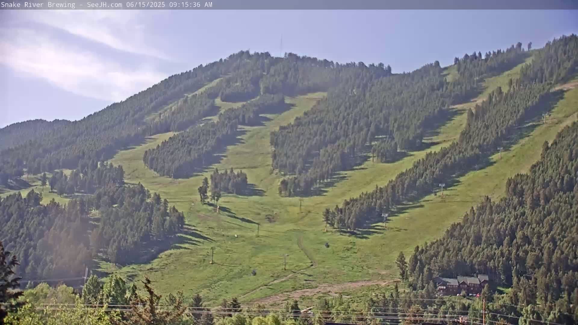 A grassy hillside dotted with evergreen trees and ski lifts under a clear, bright sky.