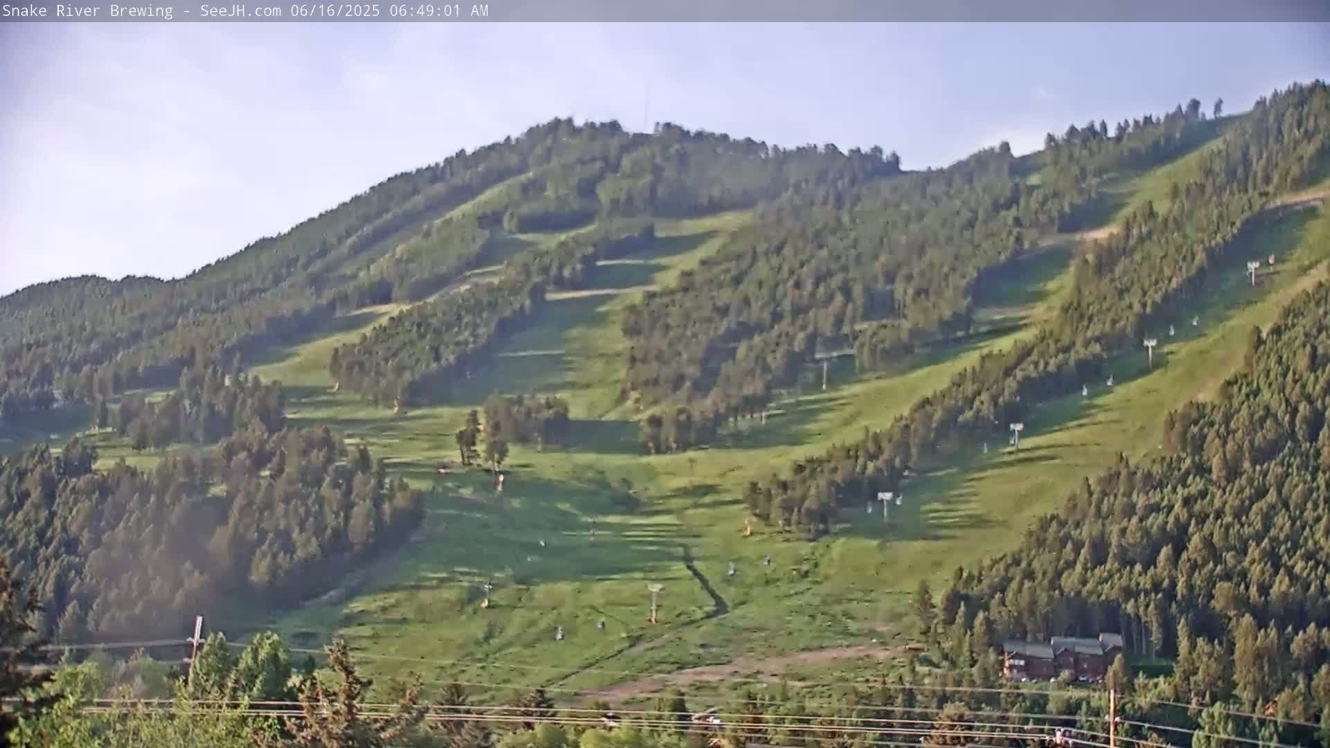 A grassy hillside dotted with trees and ski lifts under a clear, light-blue sky.