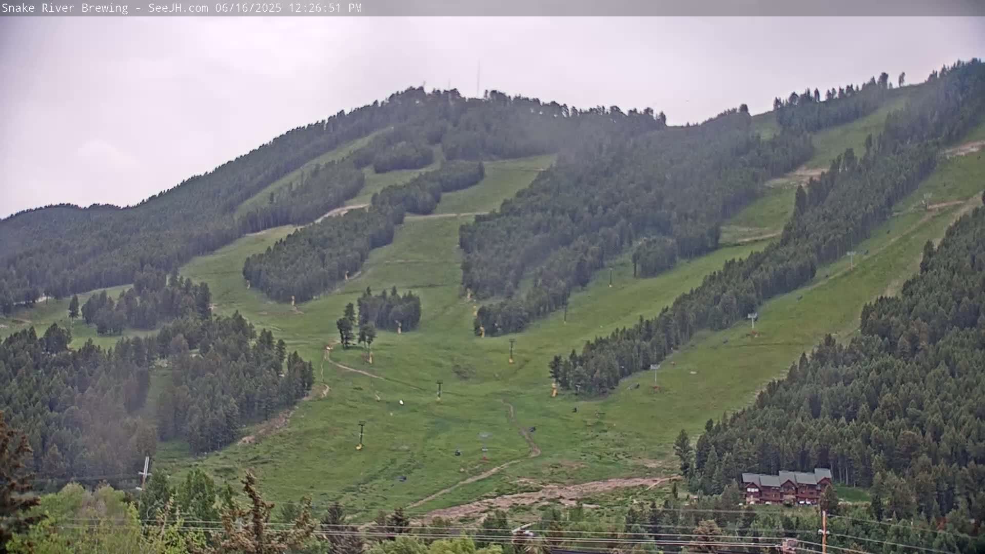 A mostly cloudy day reveals a grassy hillside dotted with evergreen trees and several ski lifts, some buildings visible at the base.