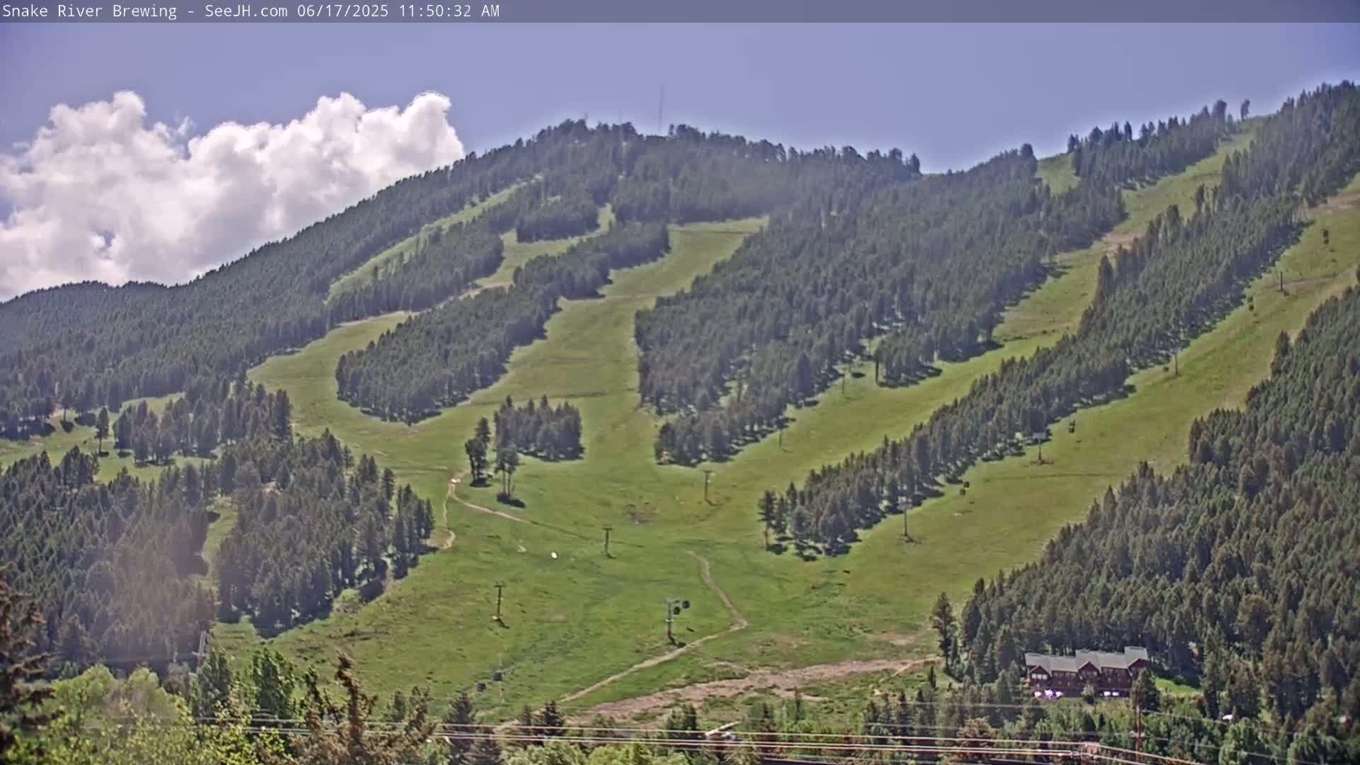 A partly cloudy day reveals a grassy hillside dotted with evergreen trees and ski lift infrastructure.