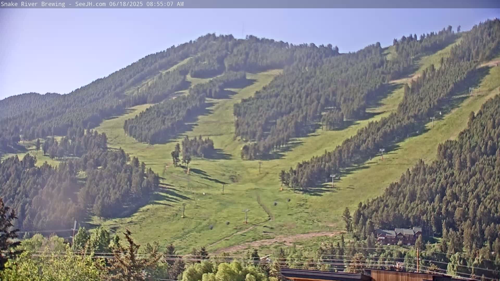 A grassy hillside dotted with evergreen trees and ski lifts under a clear sky.