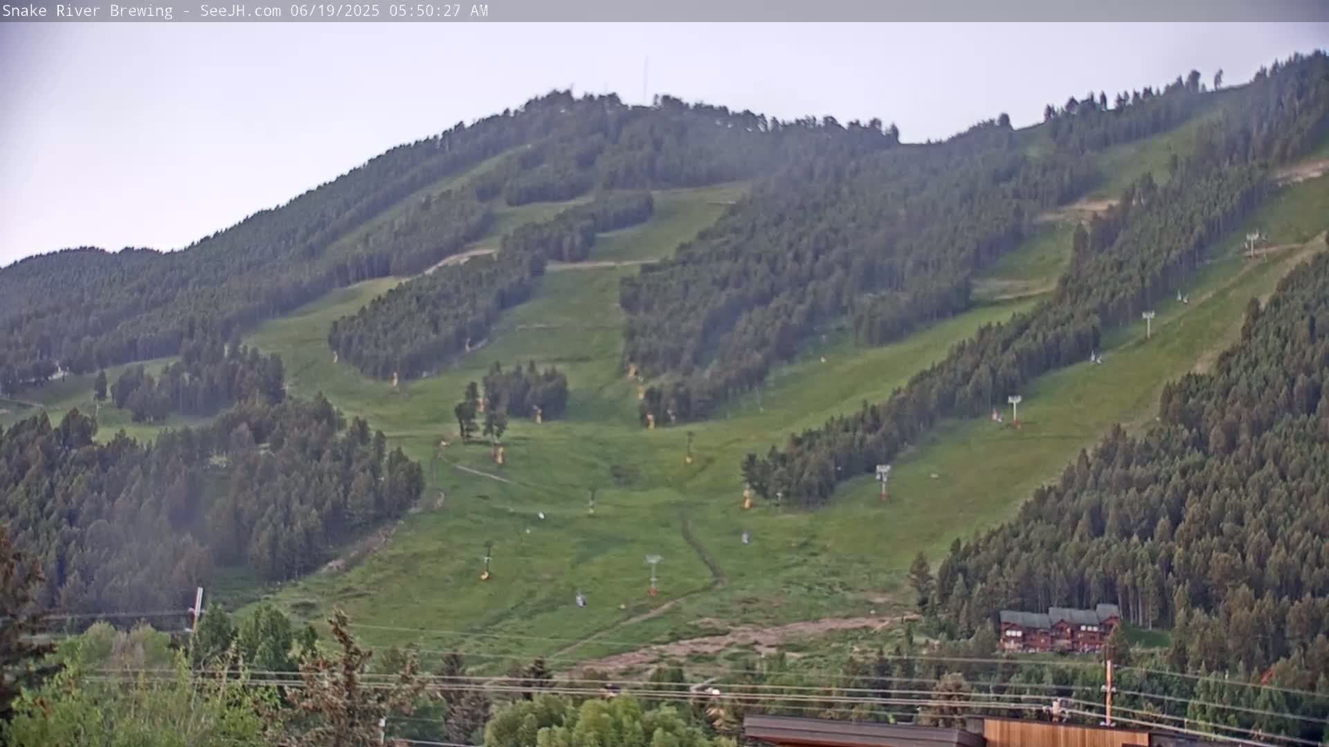 A grassy hillside dotted with trees and ski lifts under a mostly clear sky.