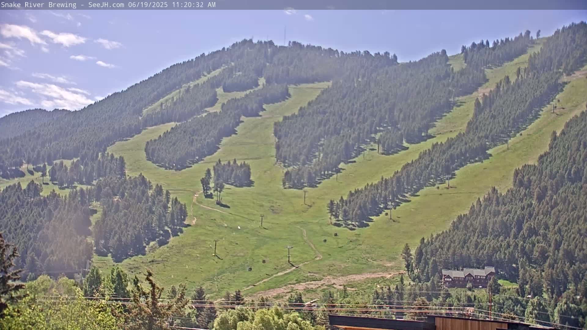 A hazy, sunny day reveals a grassy hillside interspersed with dark green evergreen trees and several ski lift poles, with a row of buildings visible at the bottom of the hill.