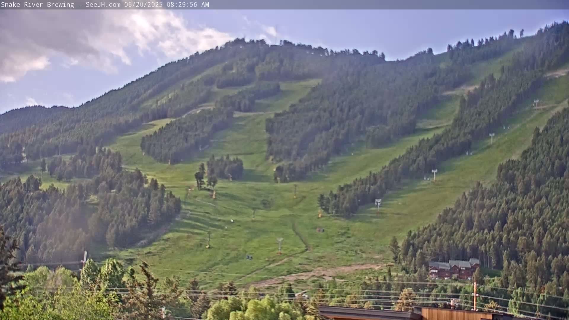 A mostly clear sky overlooks a grassy hillside dotted with trees and a few ski lifts.