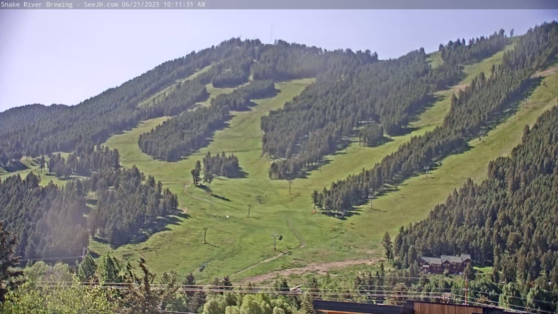 A grassy hillside dotted with evergreen trees, ski lifts, and a small building, under a clear sky.