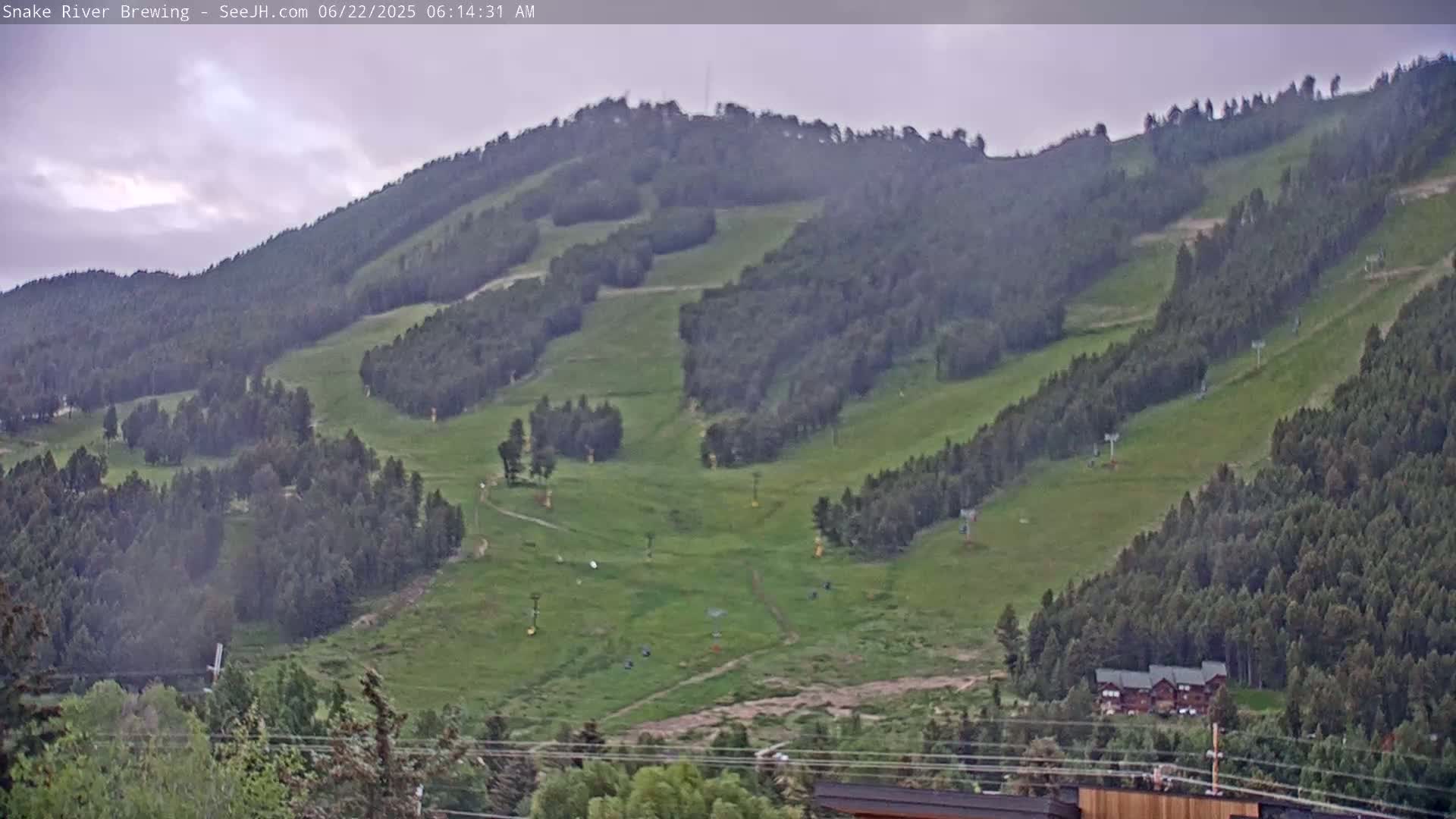 A grassy hillside with ski lifts and scattered trees under an overcast sky.