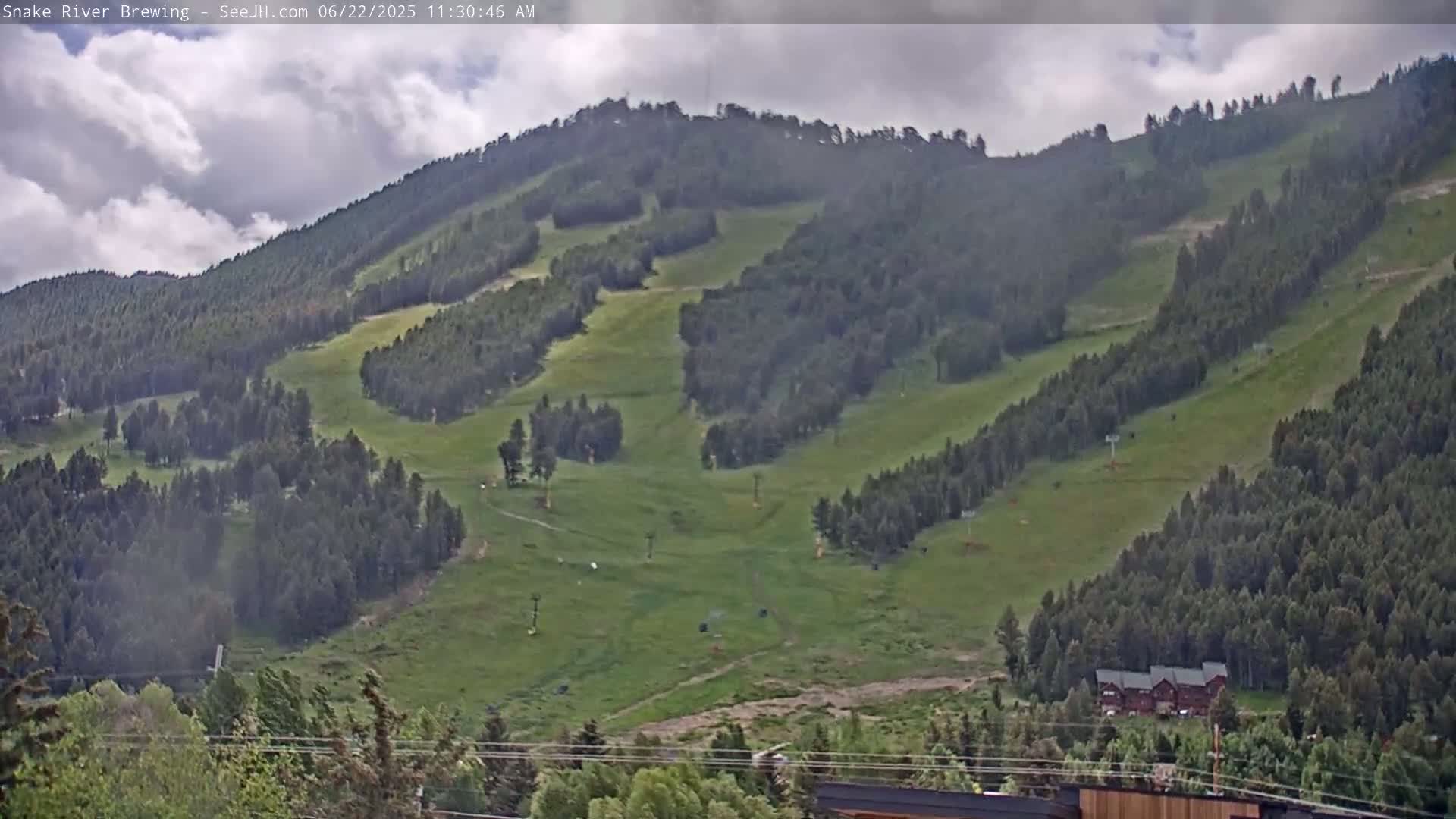 A grassy hillside dotted with evergreen trees and ski lifts under a partly cloudy sky.