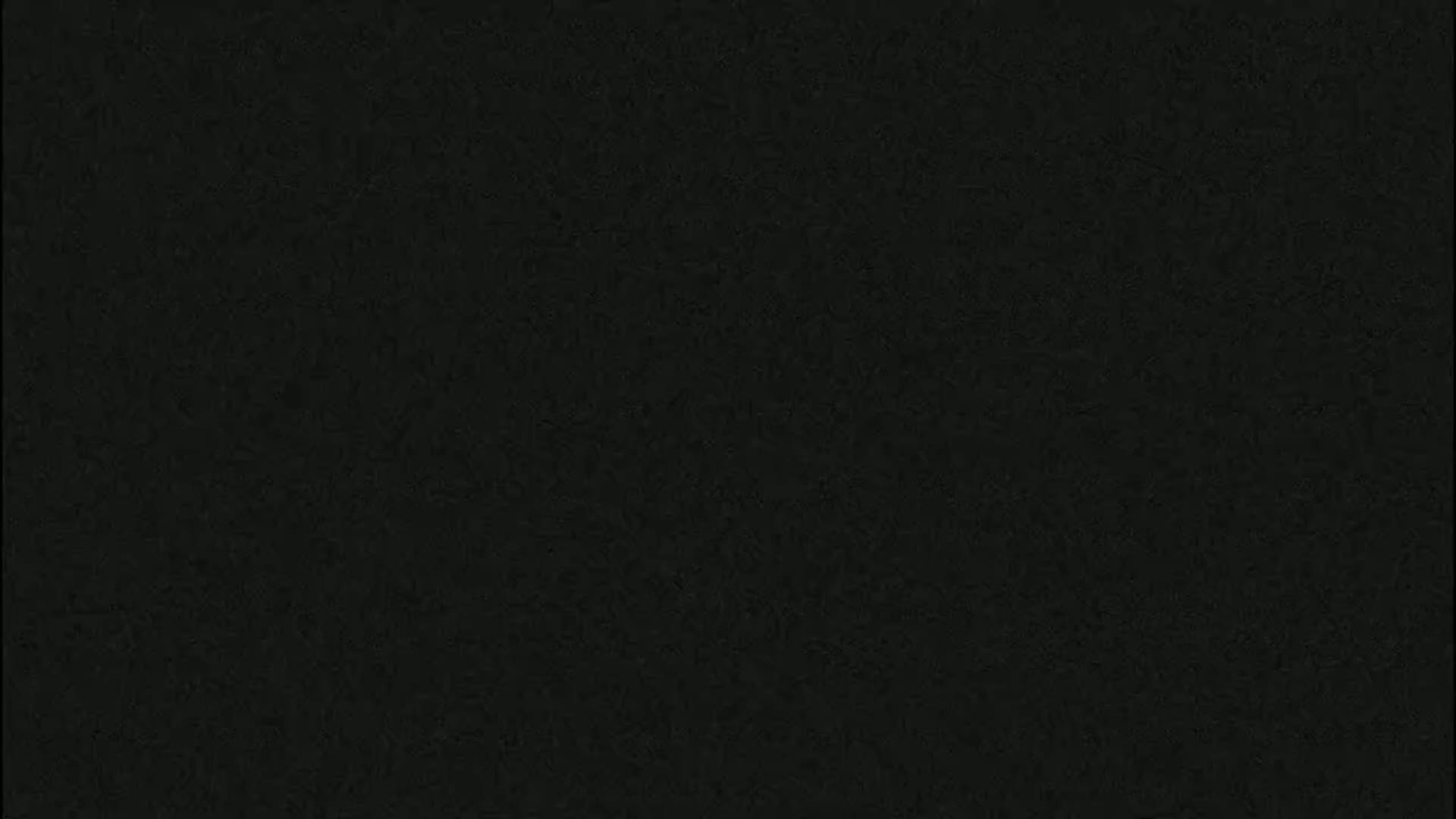 The image shows a dark, textured surface.