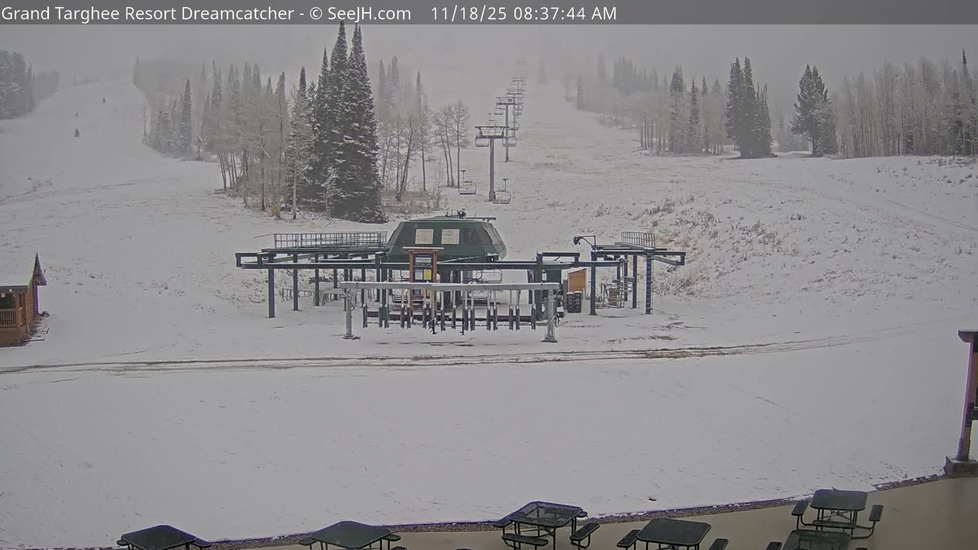 A nighttime, foggy view of a gated entrance to a building, with several closed umbrellas and long shadows cast across a paved area.
