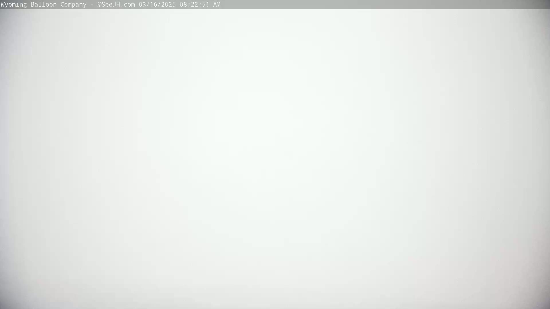 A solid, bright white background is visible.
