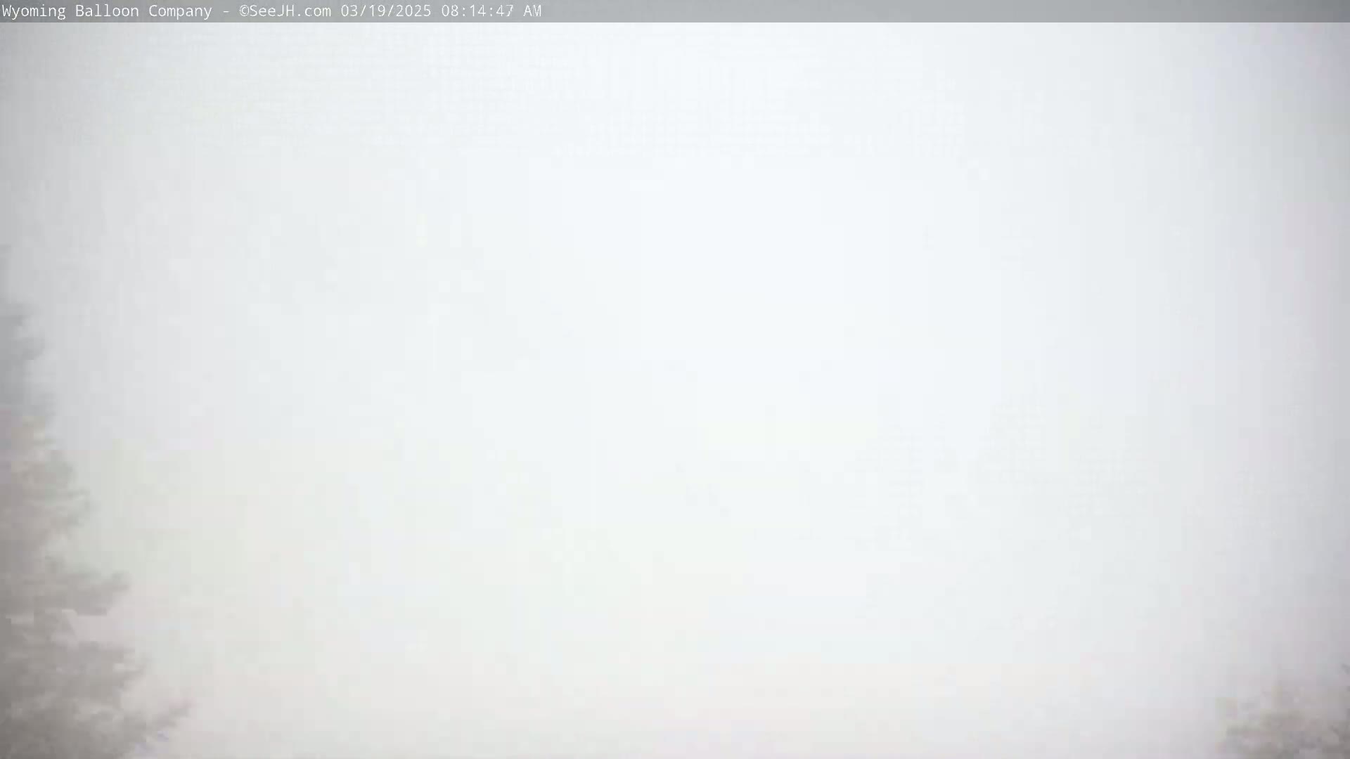 A thick fog obscures the view of a dark green tree line on either side of the image.