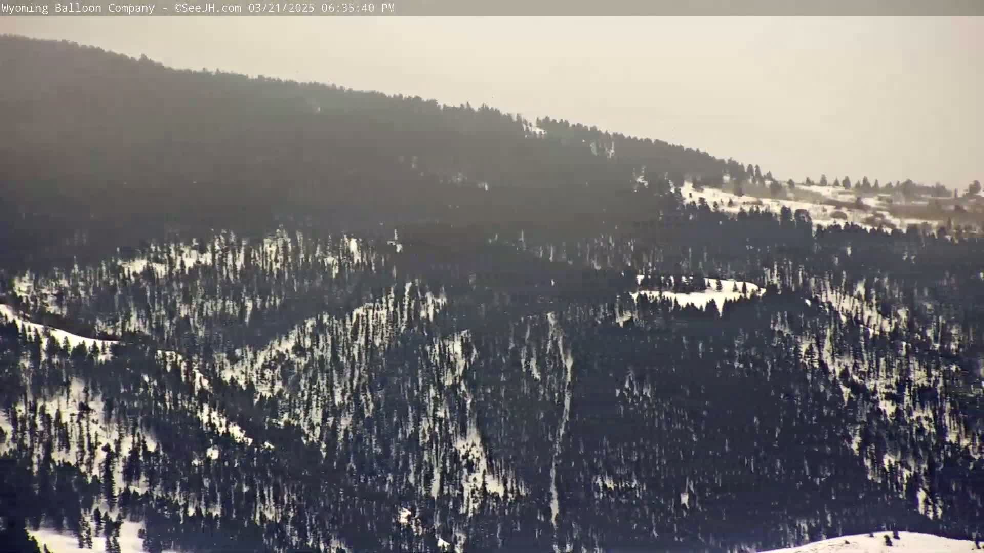 A hazy, snow-dusted mountainside covered in dark evergreen trees is visible in the distance.
