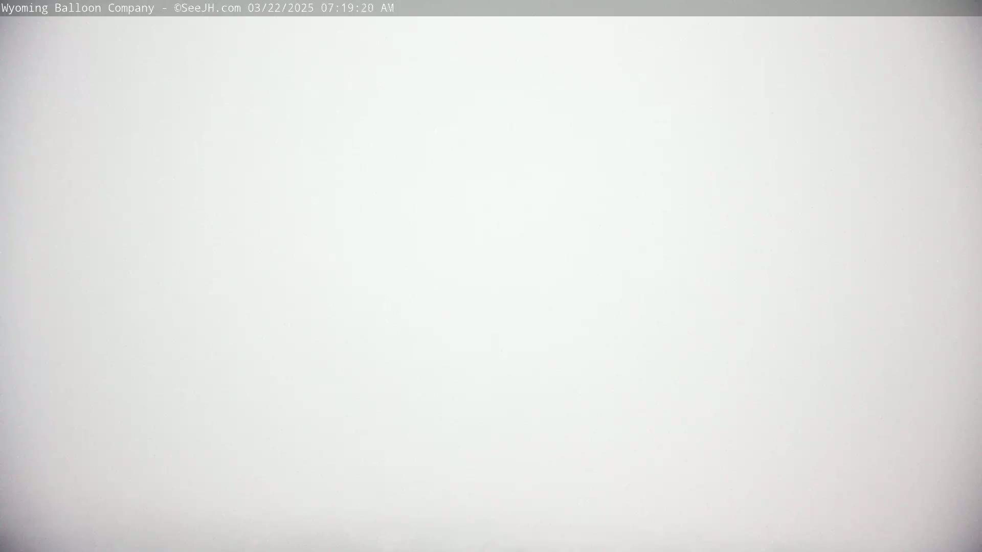 The image shows a solid white background, suggesting an overcast sky.