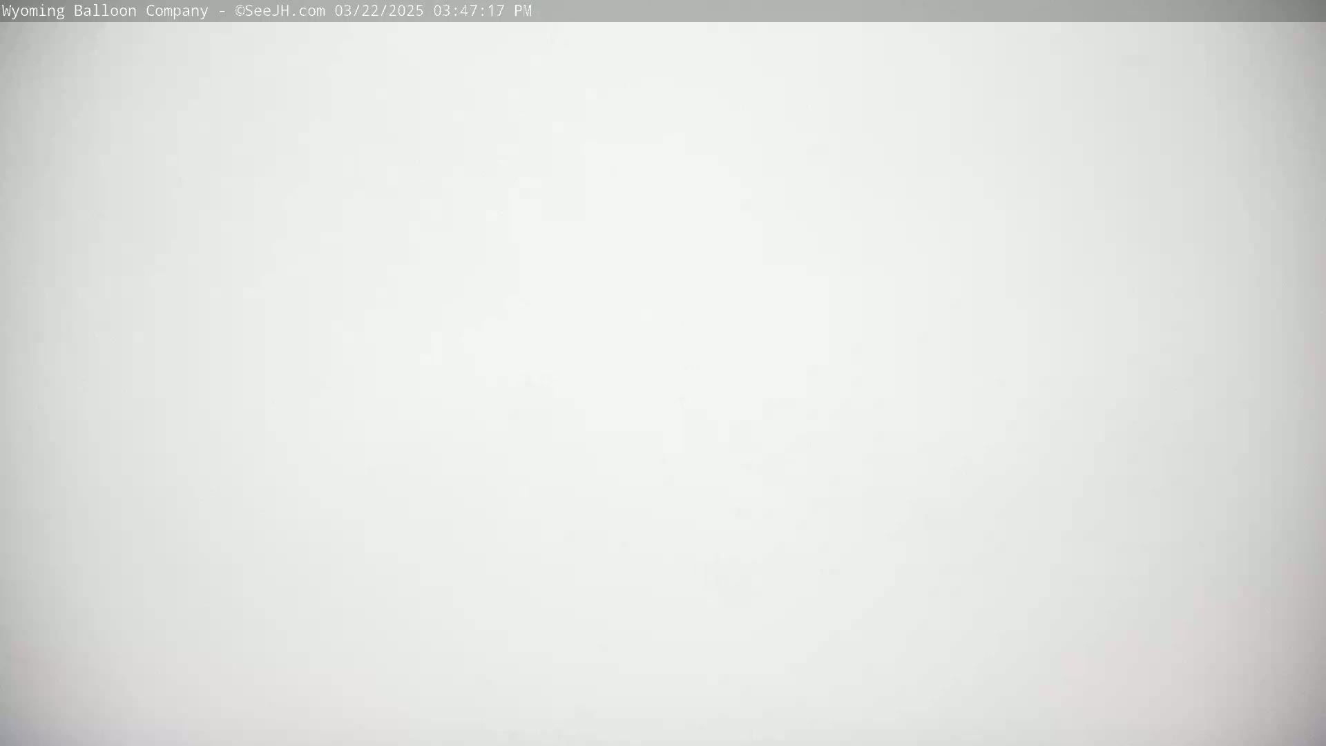 The image shows a uniformly light gray or white background.