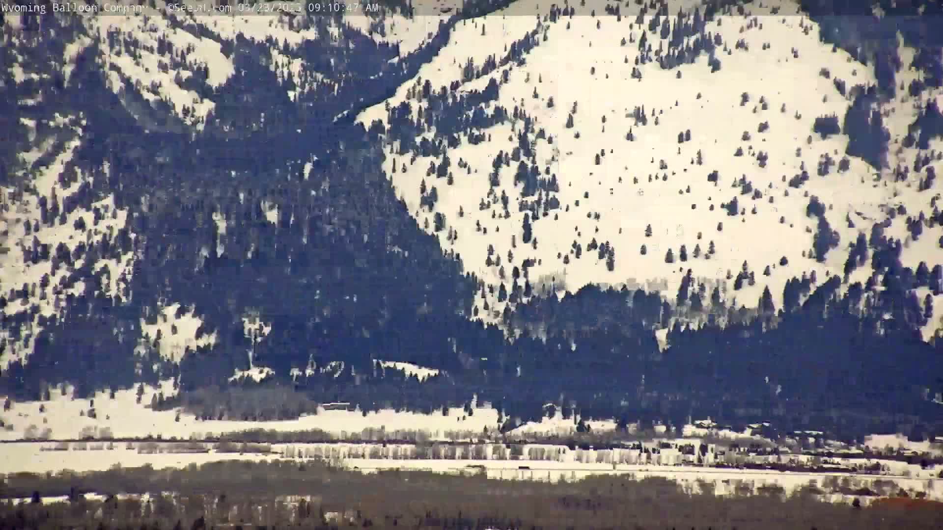 A snow-covered mountainside with dark evergreen trees and a flat valley below.