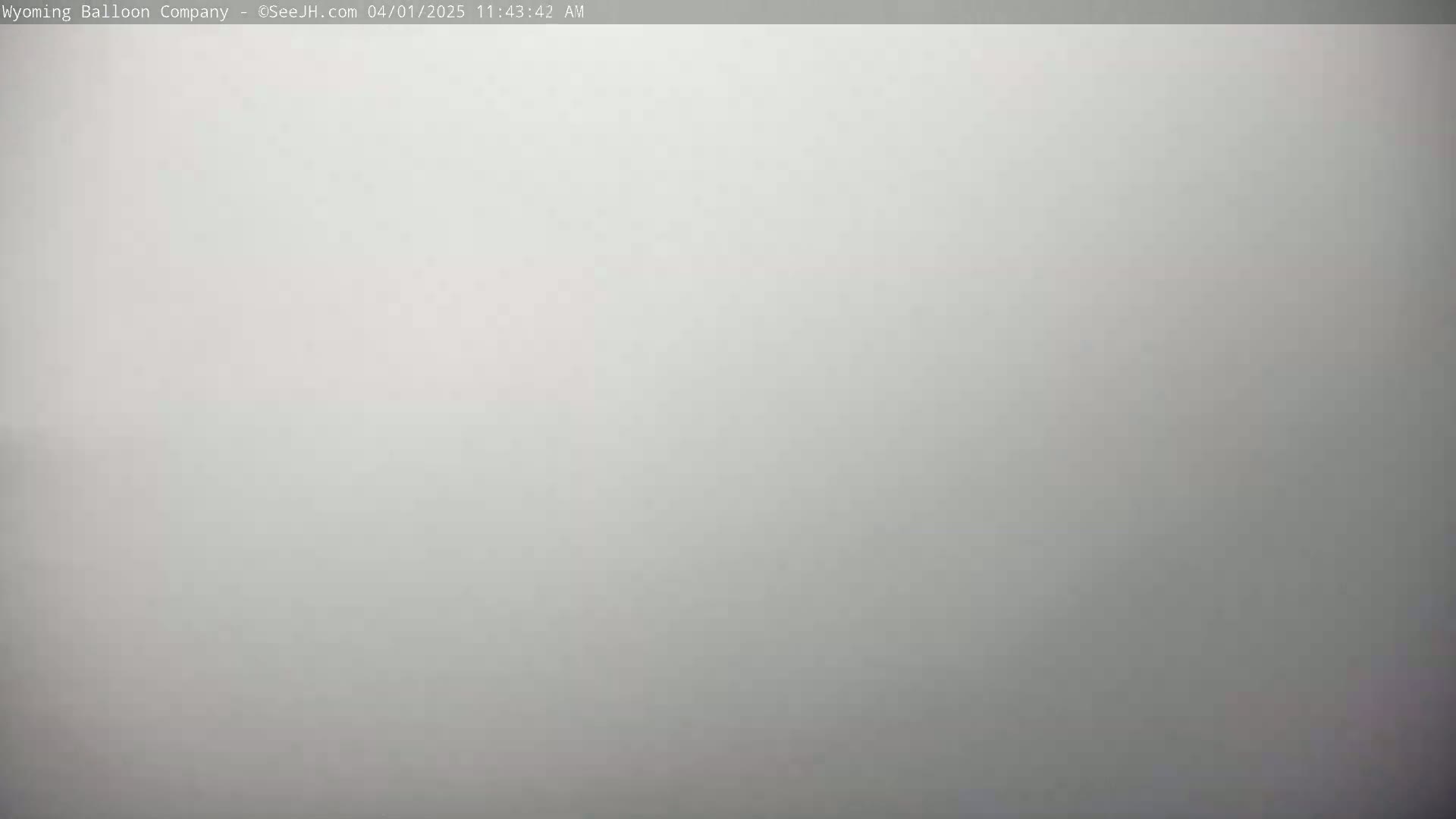 A uniformly light gray, hazy, or foggy scene is shown.