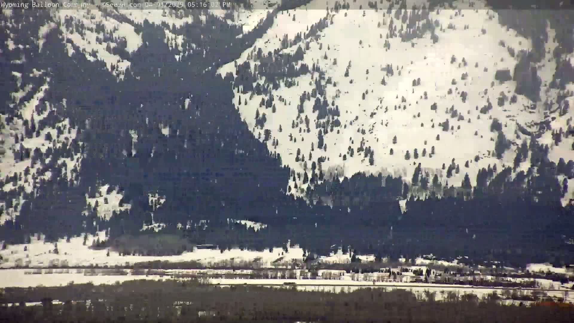 A snow-covered mountainside with dark evergreen trees and a valley below with a small town or village.