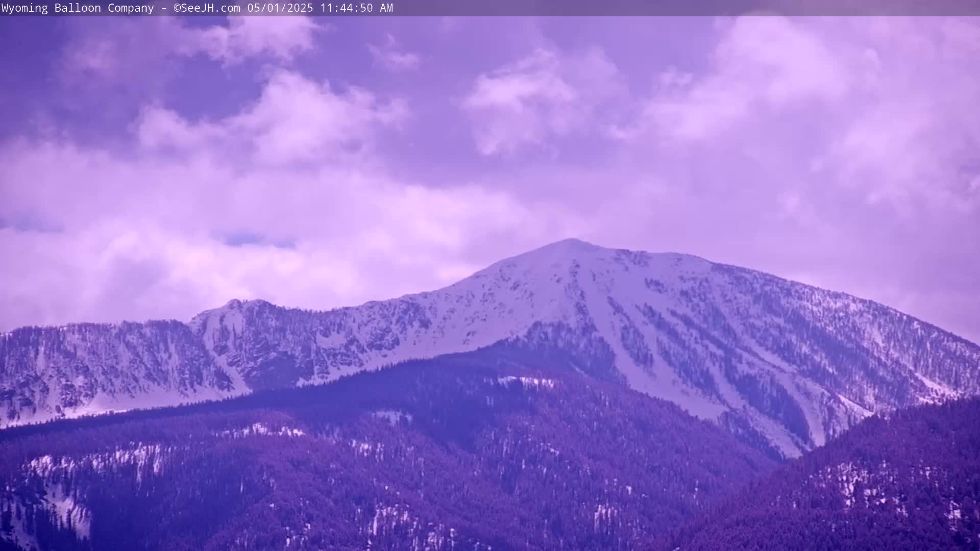 A snow-covered mountain range is visible under a partly cloudy, purplish sky.