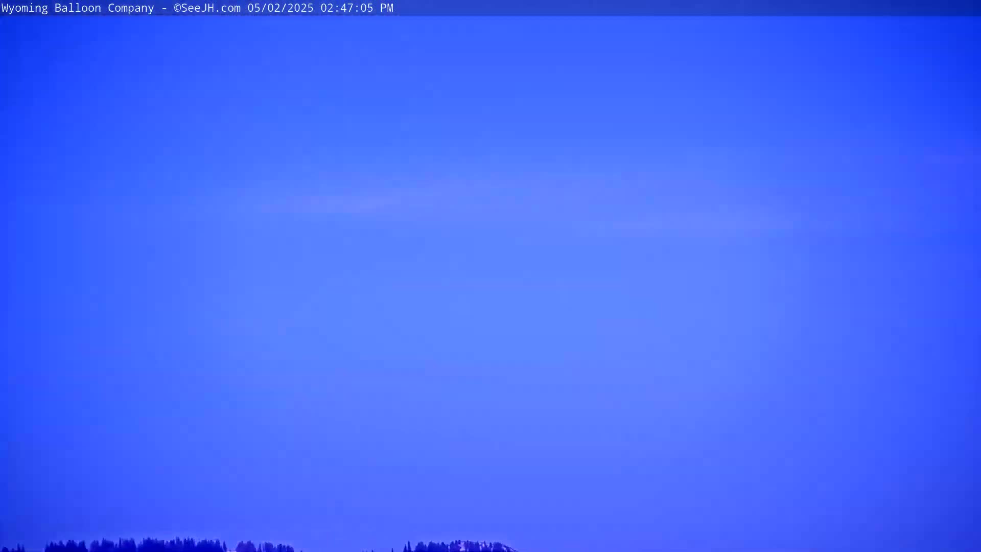 A mostly clear blue sky is visible above a dark line of trees on the horizon.