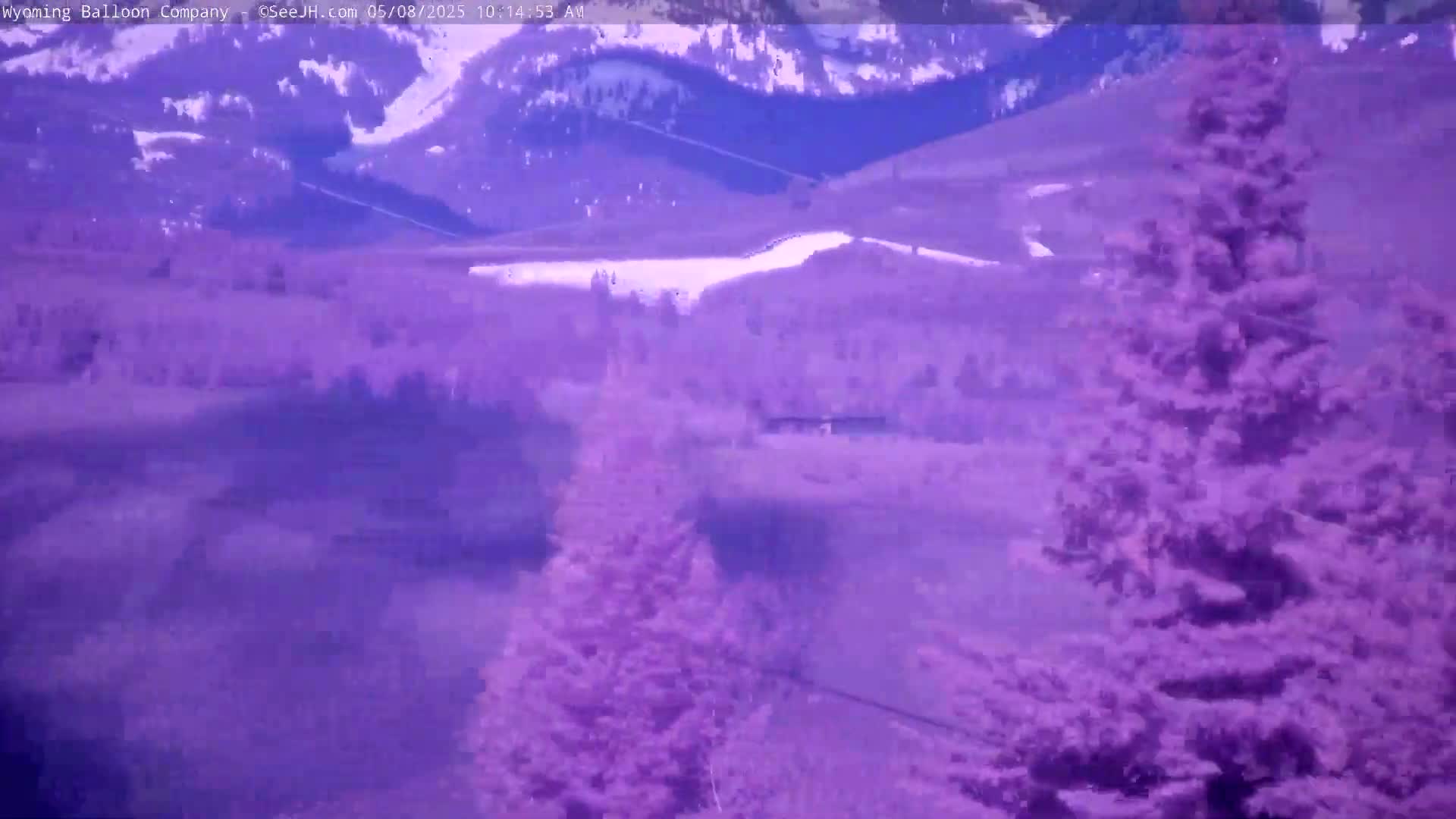 A distant view of a mountainous landscape with evergreen trees under a bright, clear sky shows patches of snow on the hillsides.
