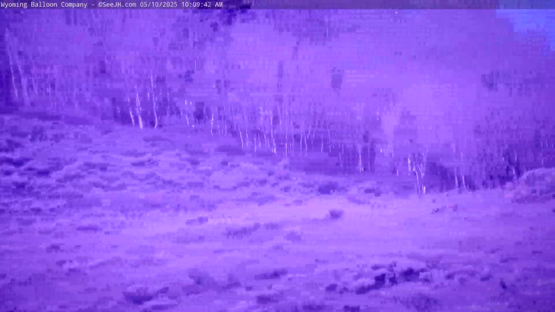 A blurry, purple-tinted image shows a sparsely vegetated landscape with a line of thin trees in the background, under what appears to be foggy or hazy conditions.