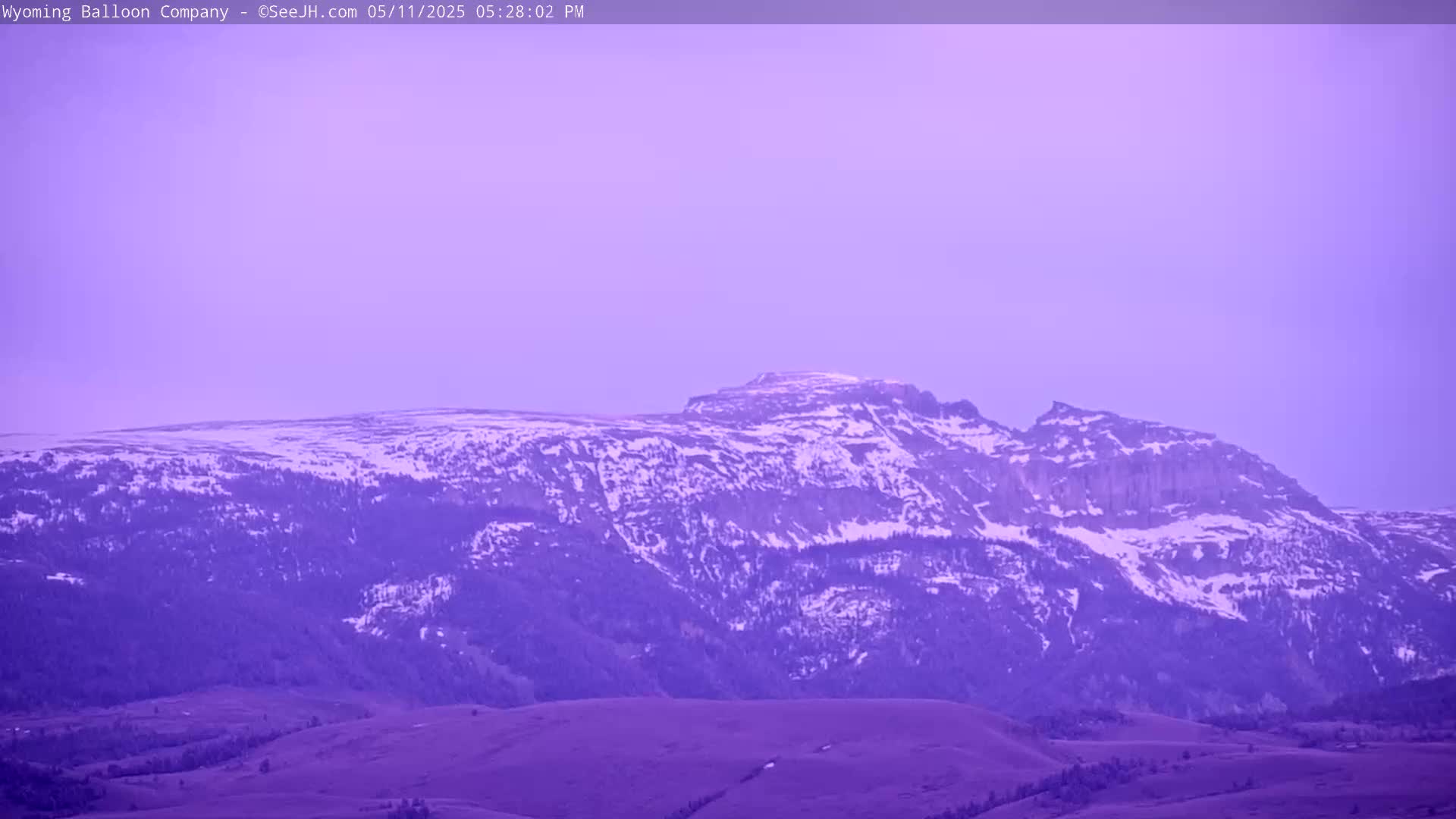 A snow-dusted mountain range is visible under a pale purple sky.