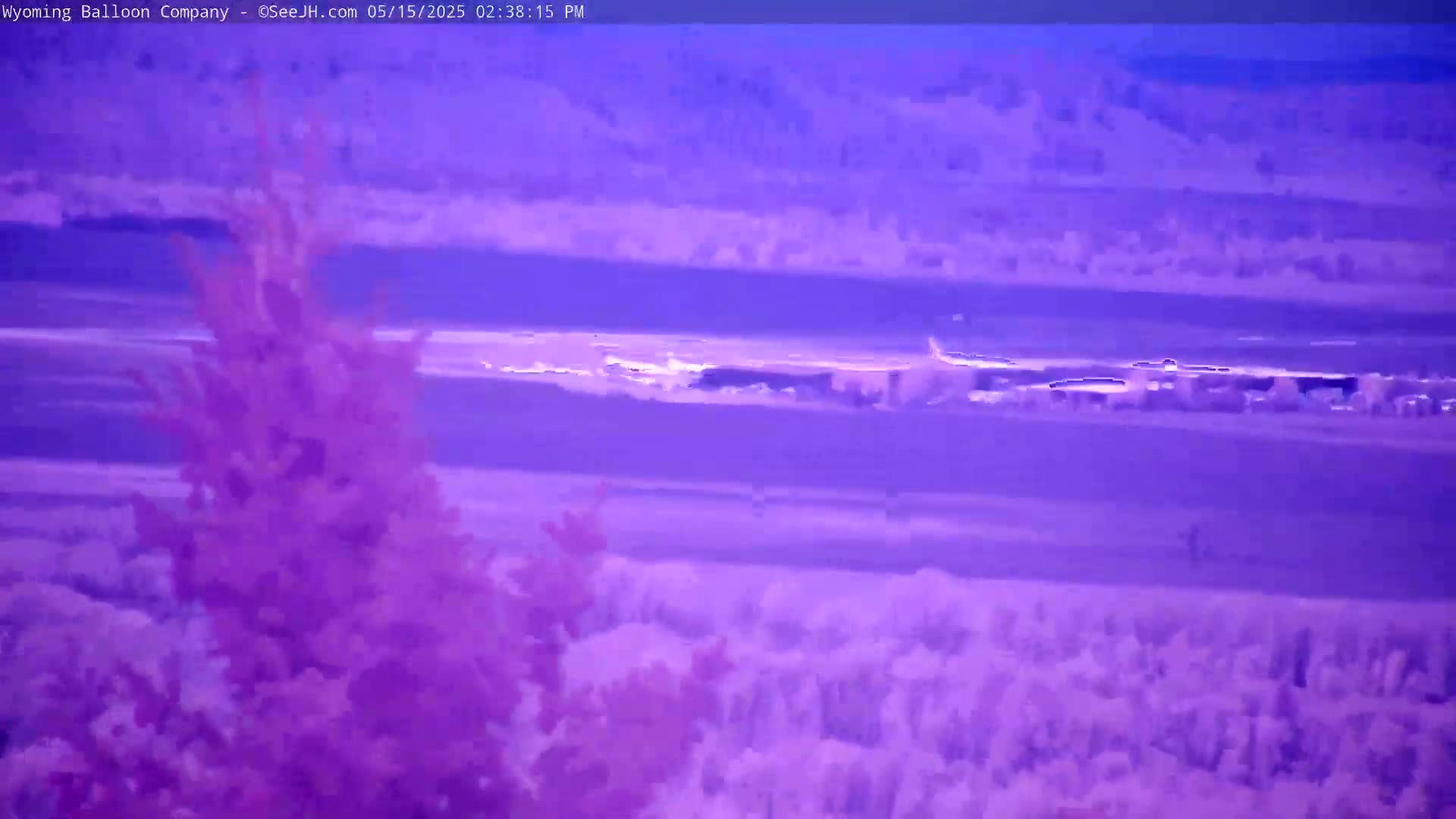 A purple-hued landscape shows a distant town or city below a hazy sky, with a coniferous tree in the foreground.
